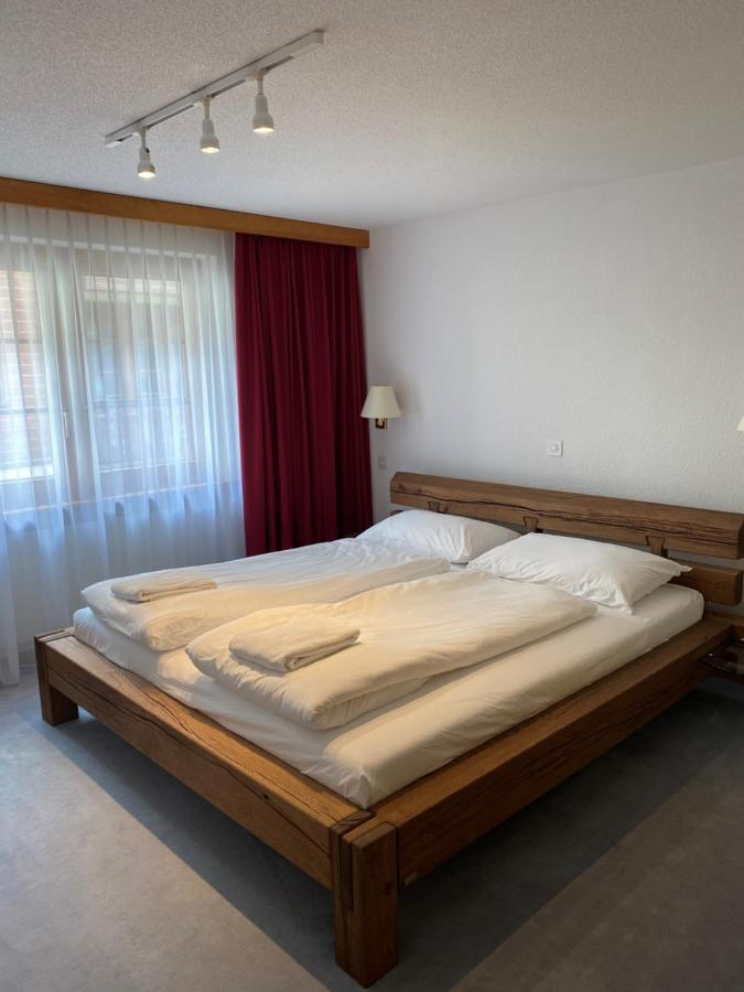 ツェルマットHaus Aresアパートメント エクステリア 写真
